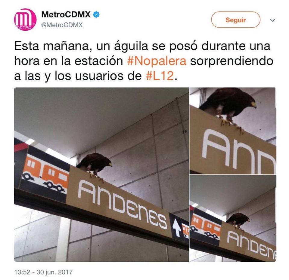 noticias mexicanas