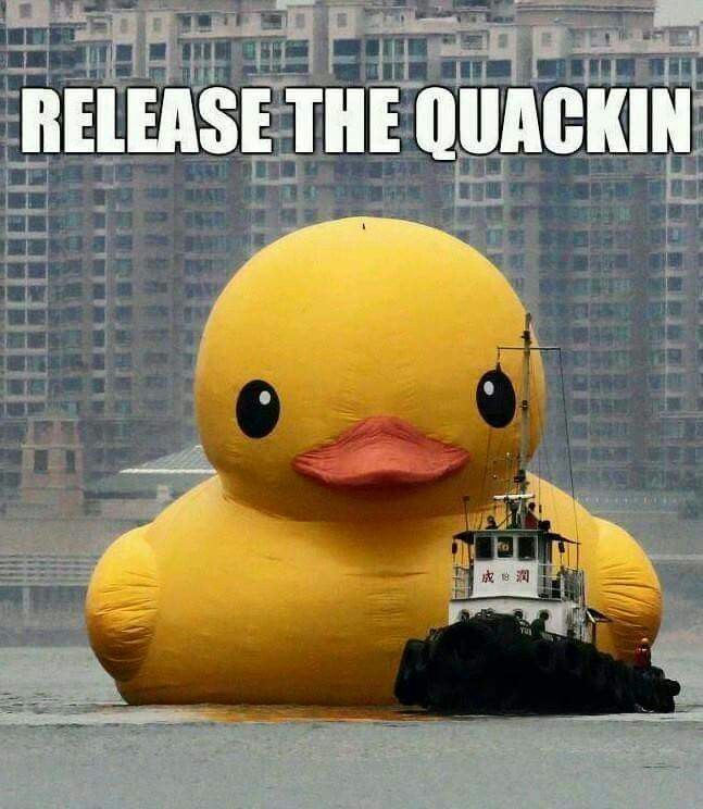 release the quackin