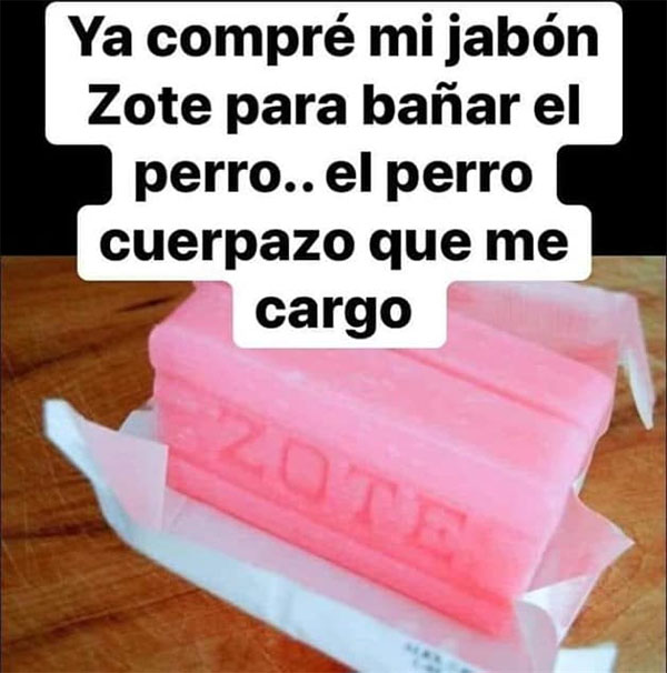 Definición sorpresa superávit Bañarse con jabón Zote ayuda a reducir la capa de mamonería: estudio