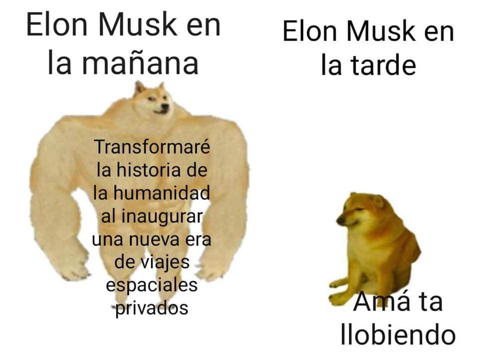 spacex Elon Musk meme 