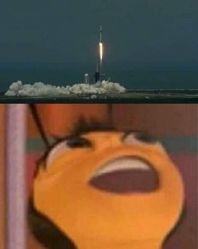elon musk meme spacex launch