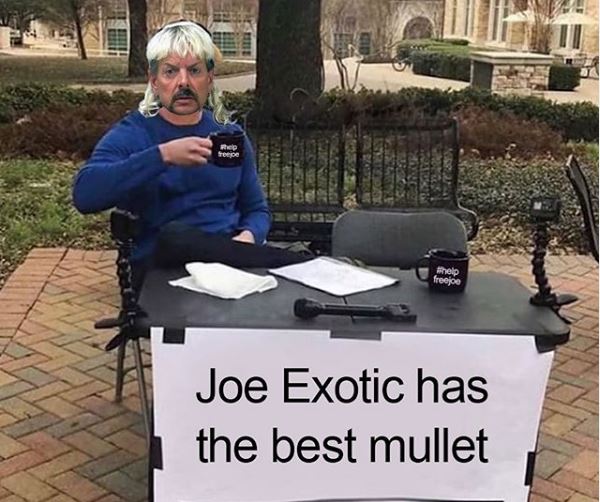 Joe Exotic Tiger King meme