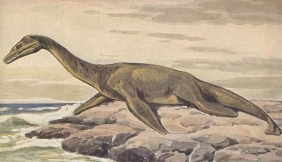 plesiosaurus loch ness monster