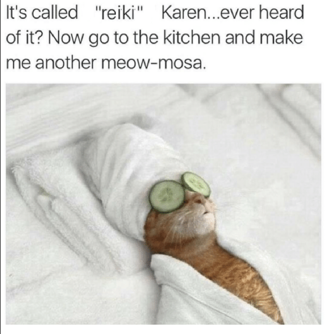 It's called reiki karen relaxation cat meme