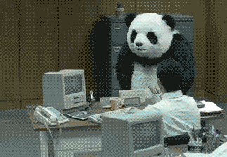 panda office gif