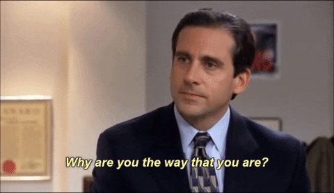 why are you the way you are michael scott the office gif