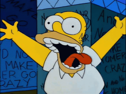 Homer simpson crazy